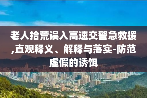老人拾荒誤入高速交警急救援,直觀釋義、解釋與落實-防范虛假的誘餌