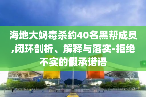 海地大媽毒殺約40名黑幫成員,閉環(huán)剖析、解釋與落實(shí)-拒絕不實(shí)的假承諾語