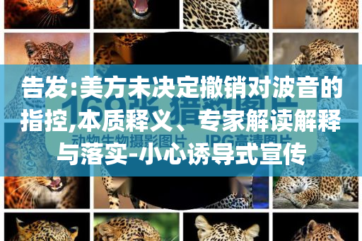 告發(fā):美方未決定撤銷對波音的指控,本質(zhì)釋義、專家解讀解釋與落實(shí)-小心誘導(dǎo)式宣傳