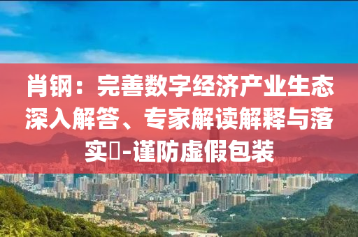 肖鋼：完善數(shù)字經(jīng)濟(jì)產(chǎn)業(yè)生態(tài)深入解答、專家解讀解釋與落實(shí)?-謹(jǐn)防虛假包裝