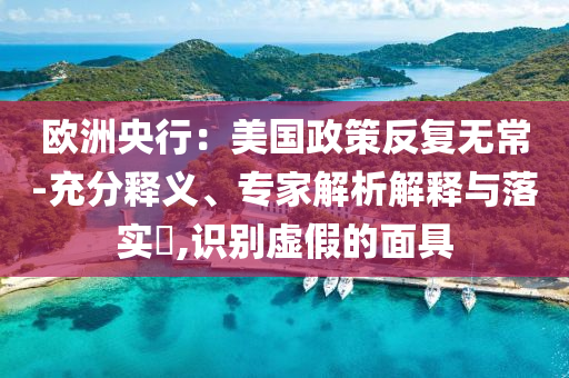歐洲央行：美國政策反復(fù)無常-充分釋義、專家解析解釋與落實?,識別虛假的面具