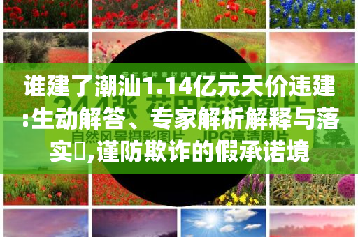 誰建了潮汕1.14億元天價違建:生動解答、專家解析解釋與落實(shí)?,謹(jǐn)防欺詐的假承諾境