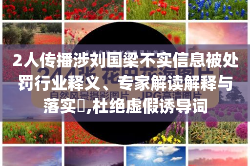 2人傳播涉劉國梁不實信息被處罰行業(yè)釋義、專家解讀解釋與落實?,杜絕虛假誘導(dǎo)詞