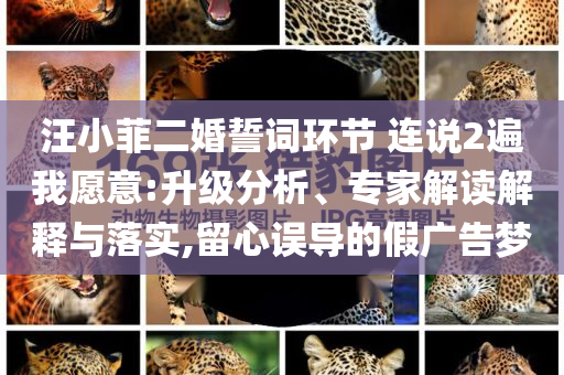 汪小菲二婚誓詞環(huán)節(jié) 連說2遍我愿意:升級分析、專家解讀解釋與落實,留心誤導(dǎo)的假廣告夢