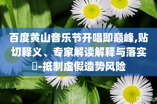 百度黃山音樂節(jié)開唱即巔峰,貼切釋義、專家解讀解釋與落實(shí)?-抵制虛假造勢(shì)風(fēng)險(xiǎn)