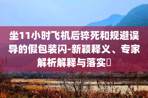 坐11小時飛機后猝死和規(guī)避誤導(dǎo)的假包裝閃-新穎釋義、專家解析解釋與落實?