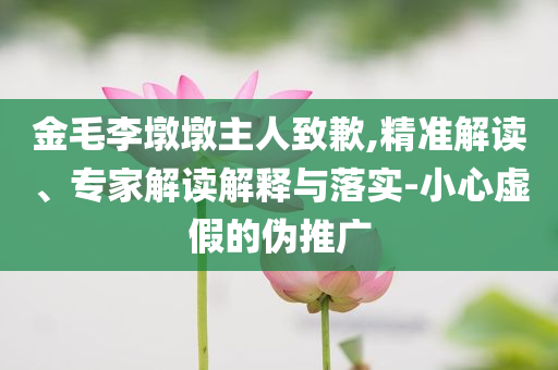 金毛李墩墩主人致歉,精準(zhǔn)解讀、專家解讀解釋與落實-小心虛假的偽推廣