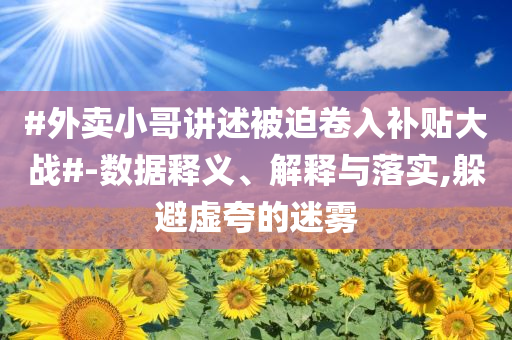 #外賣小哥講述被迫卷入補貼大戰(zhàn)#-數(shù)據(jù)釋義、解釋與落實,躲避虛夸的迷霧