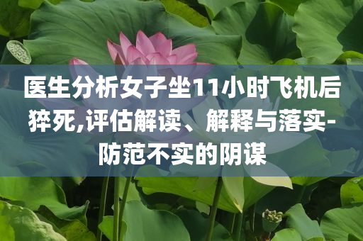 醫(yī)生分析女子坐11小時(shí)飛機(jī)后猝死,評估解讀、解釋與落實(shí)-防范不實(shí)的陰謀
