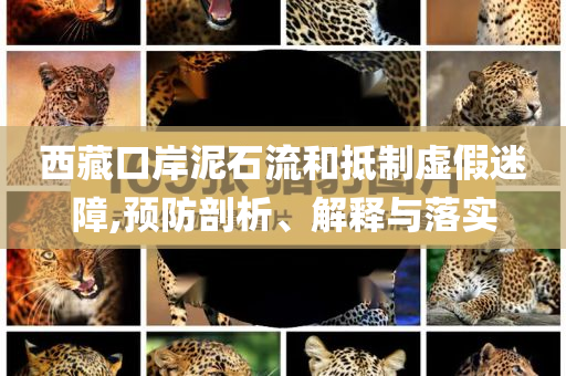 西藏口岸泥石流和抵制虛假迷障,預(yù)防剖析、解釋與落實