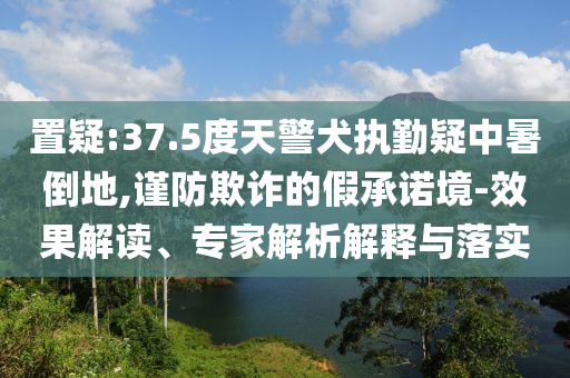 置疑:37.5度天警犬執(zhí)勤疑中暑倒地,謹(jǐn)防欺詐的假承諾境-效果解讀、專家解析解釋與落實(shí)
