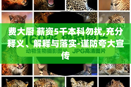 費(fèi)大廚 薪資5千本科勿擾,充分釋義、解釋與落實(shí)-謹(jǐn)防夸大宣傳