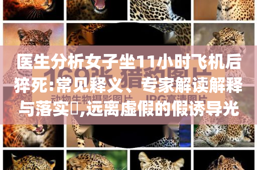 醫(yī)生分析女子坐11小時(shí)飛機(jī)后猝死:常見釋義、專家解讀解釋與落實(shí)?,遠(yuǎn)離虛假的假誘導(dǎo)光