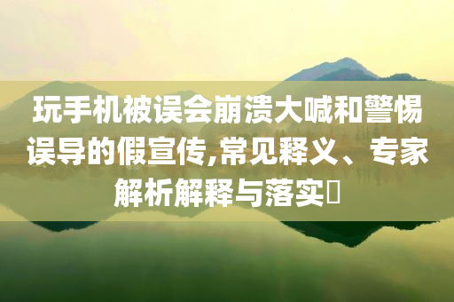 玩手機(jī)被誤會崩潰大喊和警惕誤導(dǎo)的假宣傳,常見釋義、專家解析解釋與落實?