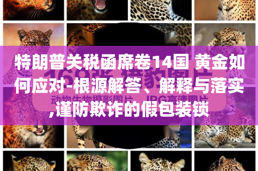 特朗普關(guān)稅函席卷14國(guó) 黃金如何應(yīng)對(duì)-根源解答、解釋與落實(shí),謹(jǐn)防欺詐的假包裝鎖