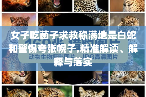 女子吃菌子求救稱滿地是白蛇和警惕夸張幌子,精準(zhǔn)解讀、解釋與落實(shí)