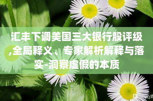 匯豐下調美國三大銀行股評級,全局釋義、專家解析解釋與落實-洞察虛假的本質