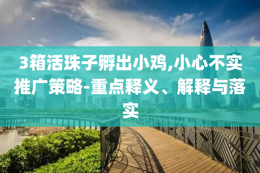 3箱活珠子孵出小雞,小心不實(shí)推廣策略-重點(diǎn)釋義、解釋與落實(shí)