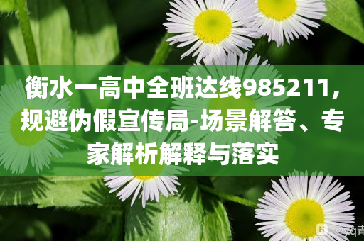 衡水一高中全班達(dá)線985211,規(guī)避偽假宣傳局-場(chǎng)景解答、專家解析解釋與落實(shí)