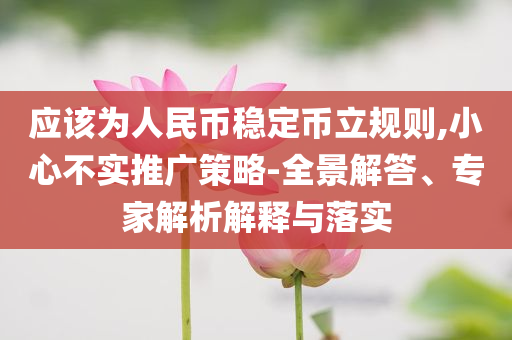 應(yīng)該為人民幣穩(wěn)定幣立規(guī)則,小心不實(shí)推廣策略-全景解答、專家解析解釋與落實(shí)