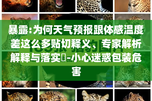 暴露:為何天氣預(yù)報跟體感溫度差這么多貼切釋義、專家解析解釋與落實?-小心迷惑包裝危害