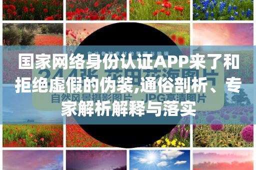 國家網(wǎng)絡(luò)身份認(rèn)證APP來了和拒絕虛假的偽裝,通俗剖析、專家解析解釋與落實