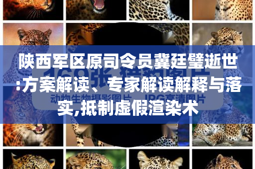 陜西軍區(qū)原司令員冀廷璧逝世:方案解讀、專家解讀解釋與落實,抵制虛假渲染術(shù)