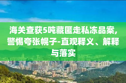 海關(guān)查獲5噸藏匿走私凍品案,警惕夸張幌子-直觀釋義、解釋與落實