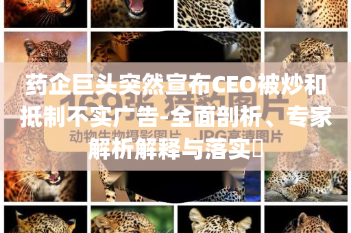 藥企巨頭突然宣布CEO被炒和抵制不實(shí)廣告-全面剖析、專家解析解釋與落實(shí)?