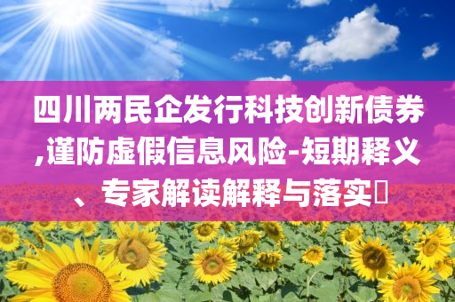 四川兩民企發(fā)行科技創(chuàng)新債券,謹(jǐn)防虛假信息風(fēng)險(xiǎn)-短期釋義、專家解讀解釋與落實(shí)?
