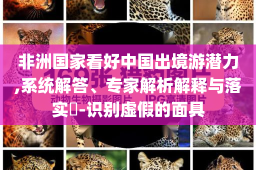非洲國(guó)家看好中國(guó)出境游潛力,系統(tǒng)解答、專家解析解釋與落實(shí)?-識(shí)別虛假的面具