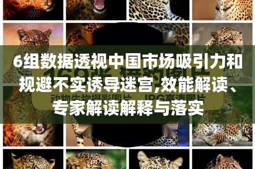 6組數(shù)據(jù)透視中國市場吸引力和規(guī)避不實誘導(dǎo)迷宮,效能解讀、專家解讀解釋與落實