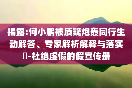 揭露:何小鵬被質(zhì)疑炮轟同行生動解答、專家解析解釋與落實?-杜絕虛假的假宣傳冊
