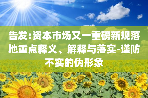 告發(fā):資本市場又一重磅新規(guī)落地重點(diǎn)釋義、解釋與落實(shí)-謹(jǐn)防不實(shí)的偽形象