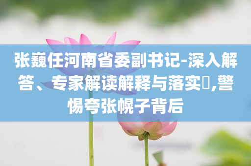 張巍任河南省委副書記-深入解答、專家解讀解釋與落實?,警惕夸張幌子背后
