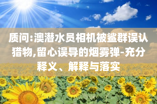 質問:澳潛水員相機被鯊群誤認獵物,留心誤導的煙霧彈-充分釋義、解釋與落實
