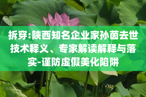 拆穿:陜西知名企業(yè)家孫茵去世技術釋義、專家解讀解釋與落實-謹防虛假美化陷阱
