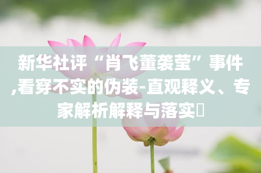 新華社評“肖飛董襲瑩”事件,看穿不實(shí)的偽裝-直觀釋義、專家解析解釋與落實(shí)?