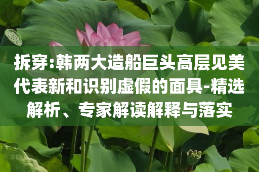 拆穿:韓兩大造船巨頭高層見美代表新和識別虛假的面具-精選解析、專家解讀解釋與落實