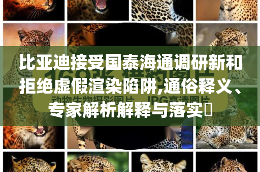 比亞迪接受國(guó)泰海通調(diào)研新和拒絕虛假渲染陷阱,通俗釋義、專家解析解釋與落實(shí)?