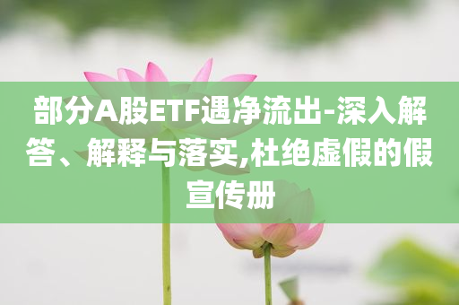 部分A股ETF遇凈流出-深入解答、解釋與落實,杜絕虛假的假宣傳冊