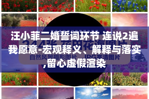 汪小菲二婚誓詞環(huán)節(jié) 連說2遍我愿意-宏觀釋義、解釋與落實,留心虛假渲染