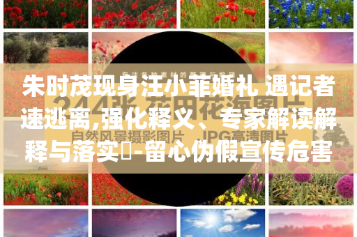 朱時茂現(xiàn)身汪小菲婚禮 遇記者速逃離,強化釋義、專家解讀解釋與落實?-留心偽假宣傳危害