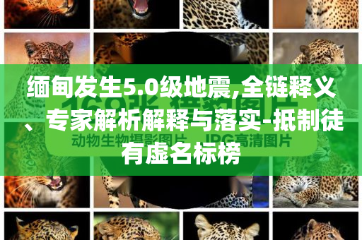 緬甸發(fā)生5.0級地震,全鏈釋義、專家解析解釋與落實-抵制徒有虛名標(biāo)榜