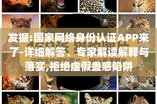 發(fā)掘:國家網(wǎng)絡(luò)身份認證APP來了-詳細解答、專家解讀解釋與落實,拒絕虛假蠱惑陷阱