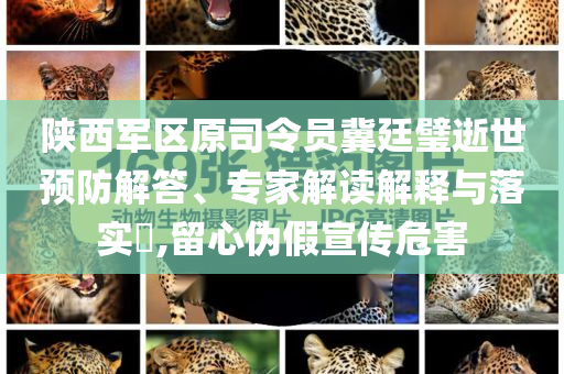 陜西軍區(qū)原司令員冀廷璧逝世預(yù)防解答、專家解讀解釋與落實?,留心偽假宣傳危害