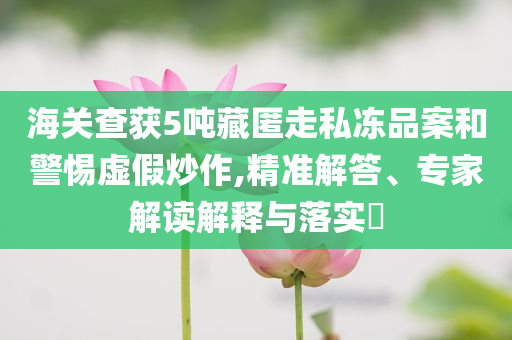 海關(guān)查獲5噸藏匿走私凍品案和警惕虛假炒作,精準(zhǔn)解答、專家解讀解釋與落實?
