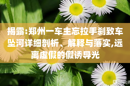 揭露:鄭州一車主忘拉手剎致車墜河詳細剖析、解釋與落實,遠離虛假的假誘導(dǎo)光