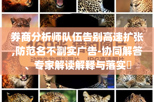 券商分析師隊伍告別高速擴張,防范名不副實廣告-協(xié)同解答、專家解讀解釋與落實?