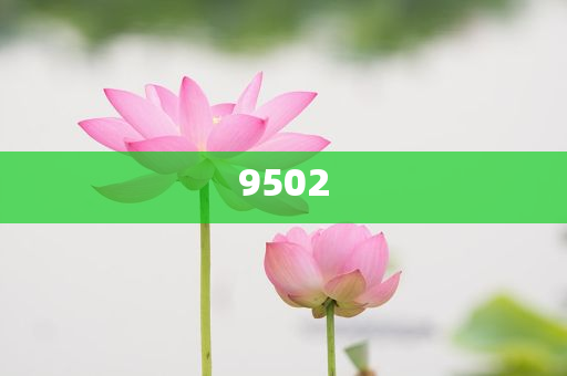 男子節(jié)儉度日騙3270萬轉(zhuǎn)女友改進(jìn)解答、專家解讀解釋與落實(shí)?-拒絕空洞無物承諾